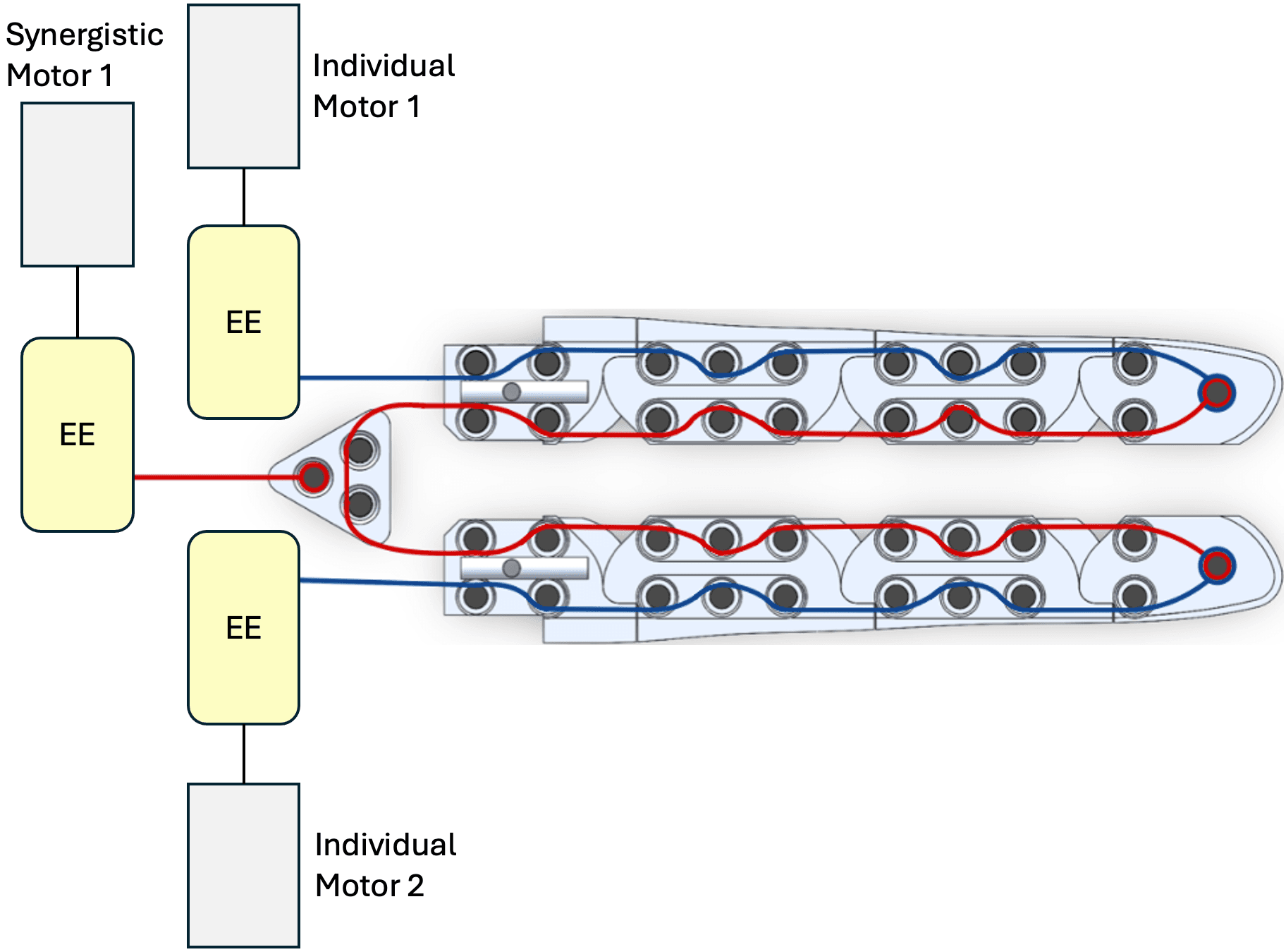 Schematic of the actuation concept: a synergistic motor and two individual motors, each acting through an elastic element onto the antagonistic tendon pairs of two fingers.