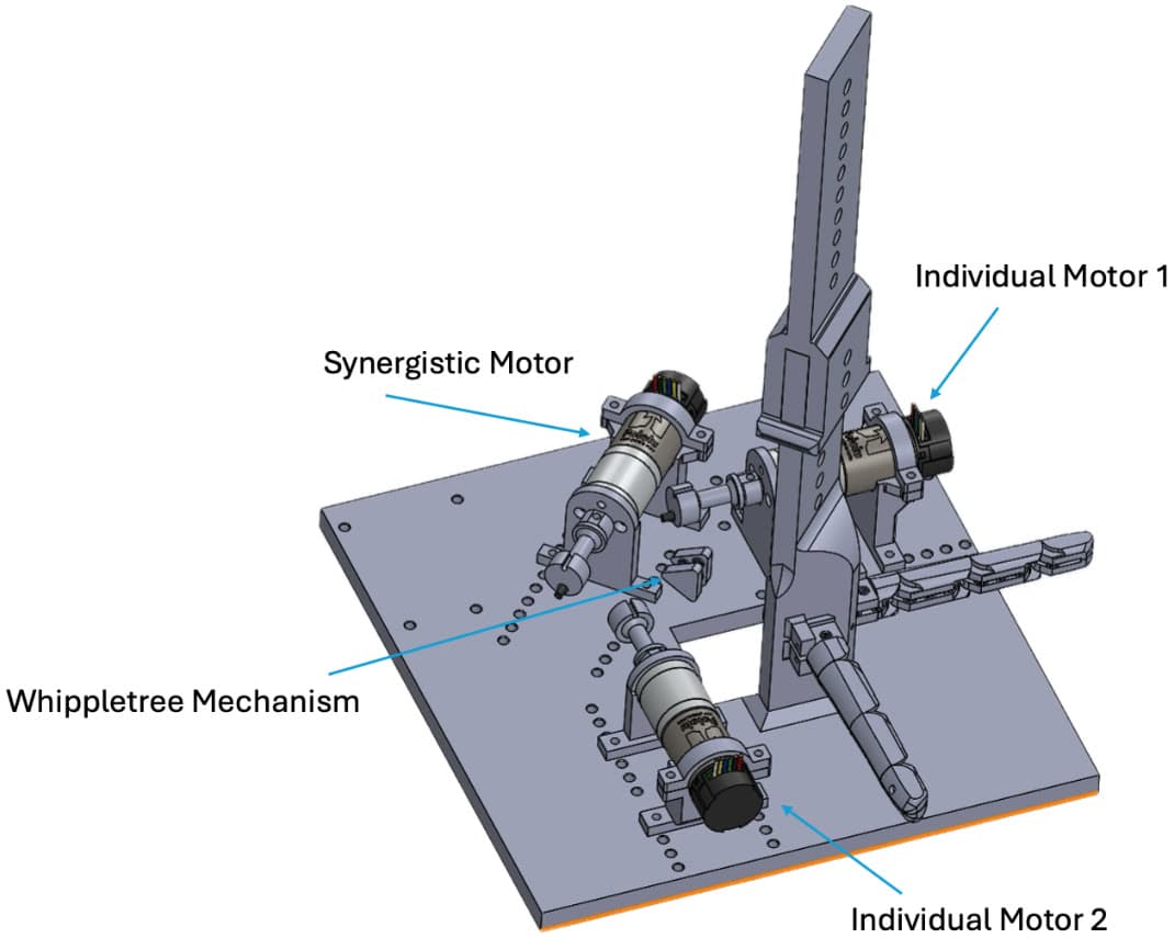CAD model of the two-finger test setup with the synergistic motor, two individual motors, the freely suspended whippletree mechanism and a vertical finger mount.