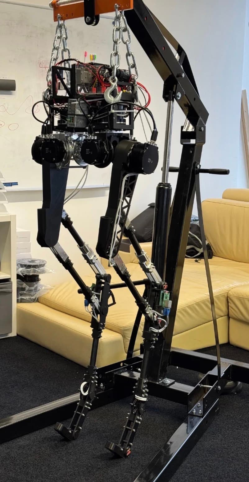 The assembled RoboTUM humanoid suspended in a test gantry, showing the hip actuators and the linkage-driven knee and ankle joints.